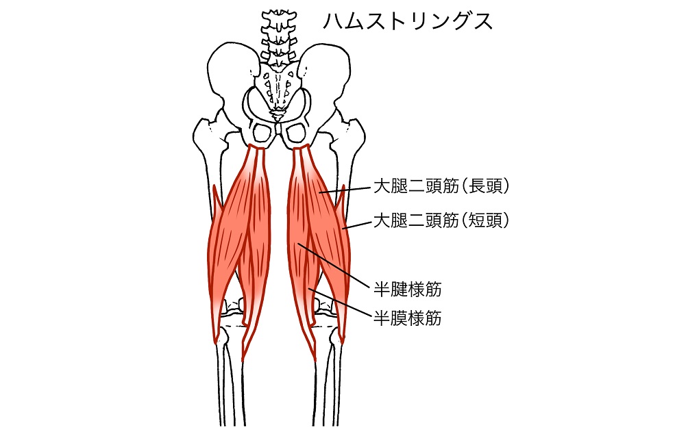 2. ウォーキングランジ