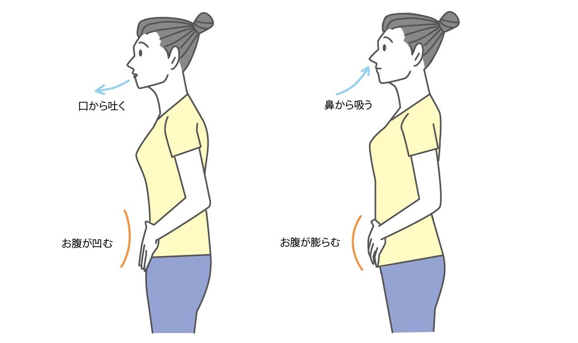 腹式呼吸の図