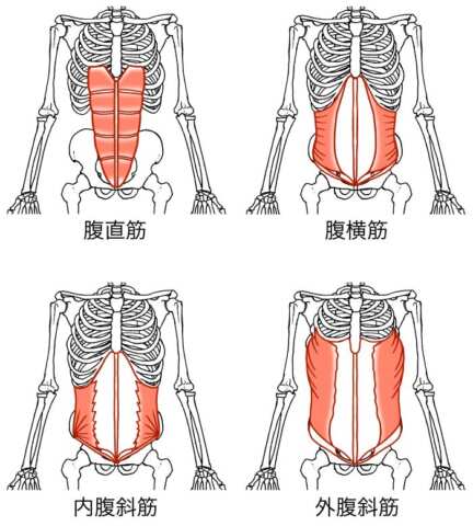 腹筋