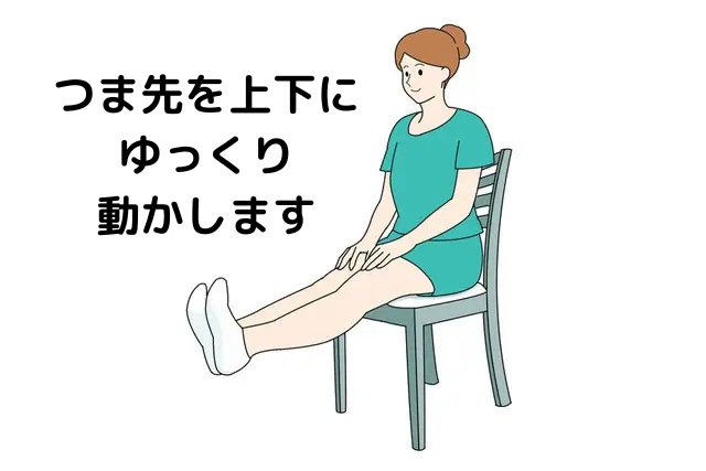 つま先を上下にゆっくり動かします