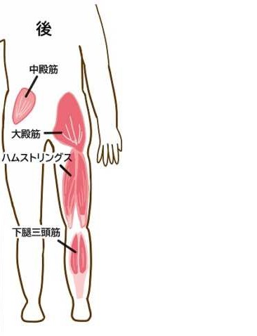 ハムストリングス・大臀筋・下腿三頭筋
