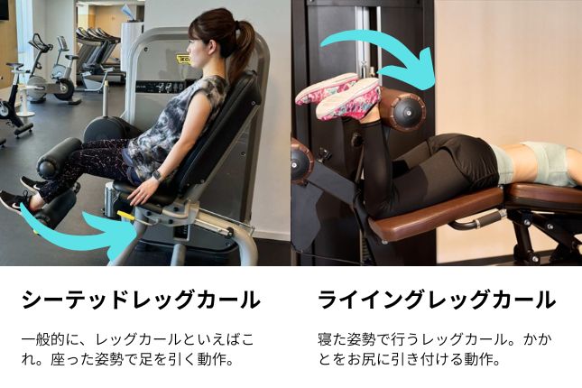 シーテッドレッグカールとライイングレッグカールの違い