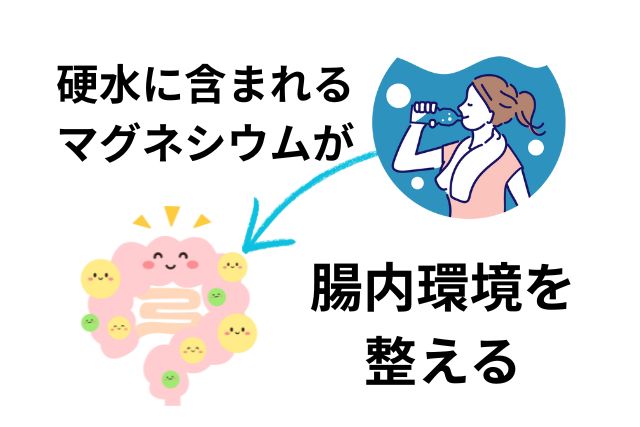 美容や腸内環境を支えるミネラルウォーター
