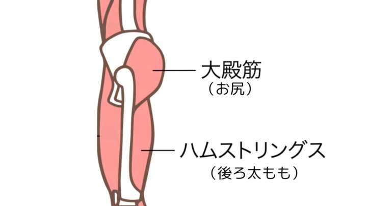 臀筋　ハムストリング