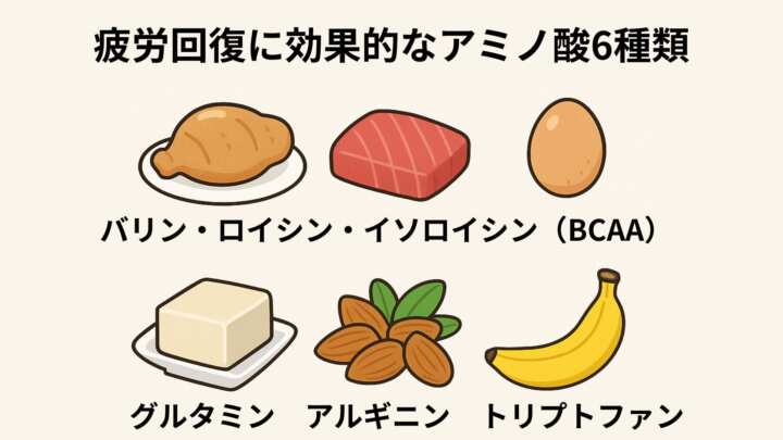 疲労回復に即効性のあるアミノ酸6種類