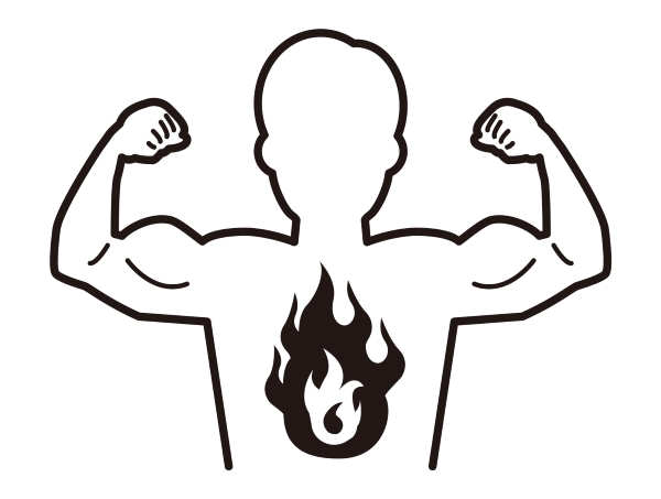 筋肉　脂肪燃焼