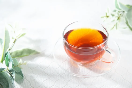 ルイボスティーの効能とは。毎日飲み続けるとどんな効果が期待できる?