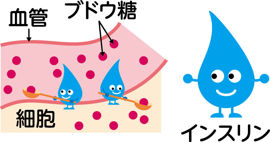 血糖値_インスリン