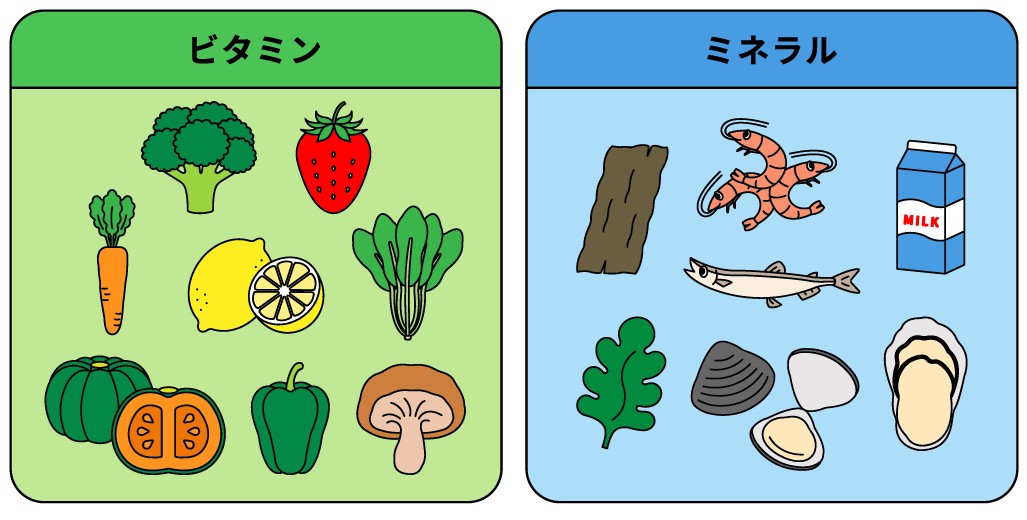 ミネラル・ビタミン